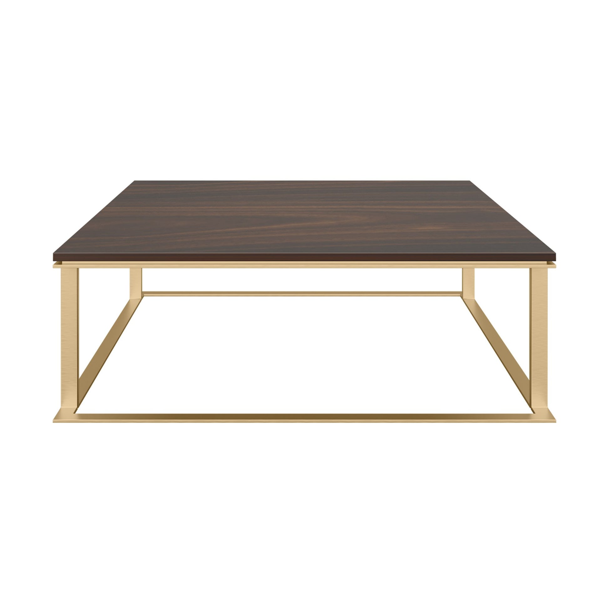 Designer large, low profile coffee table with a wood veneer top and brushed brass structure