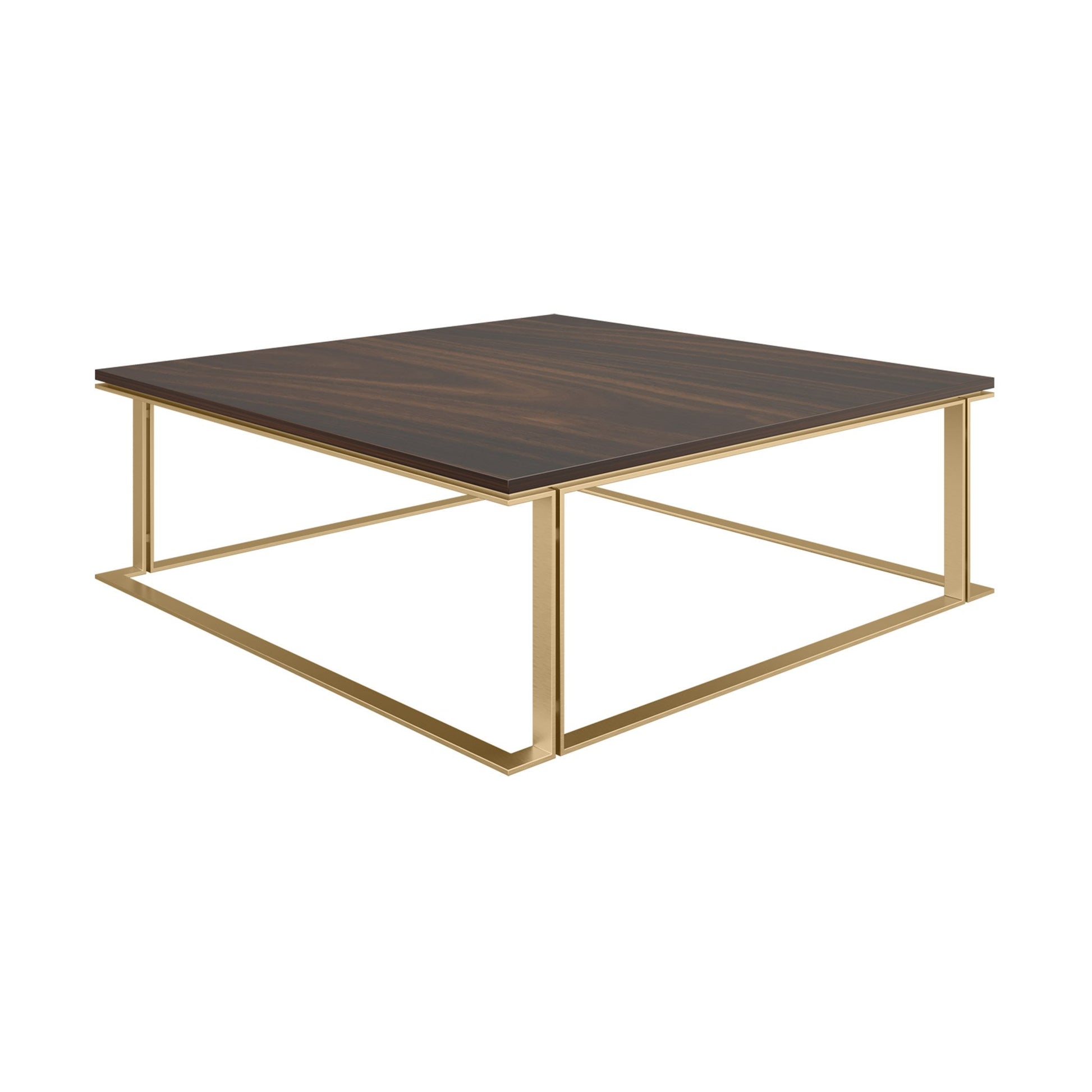 Designer large, low profile coffee table with a wood veneer top and brushed brass structure