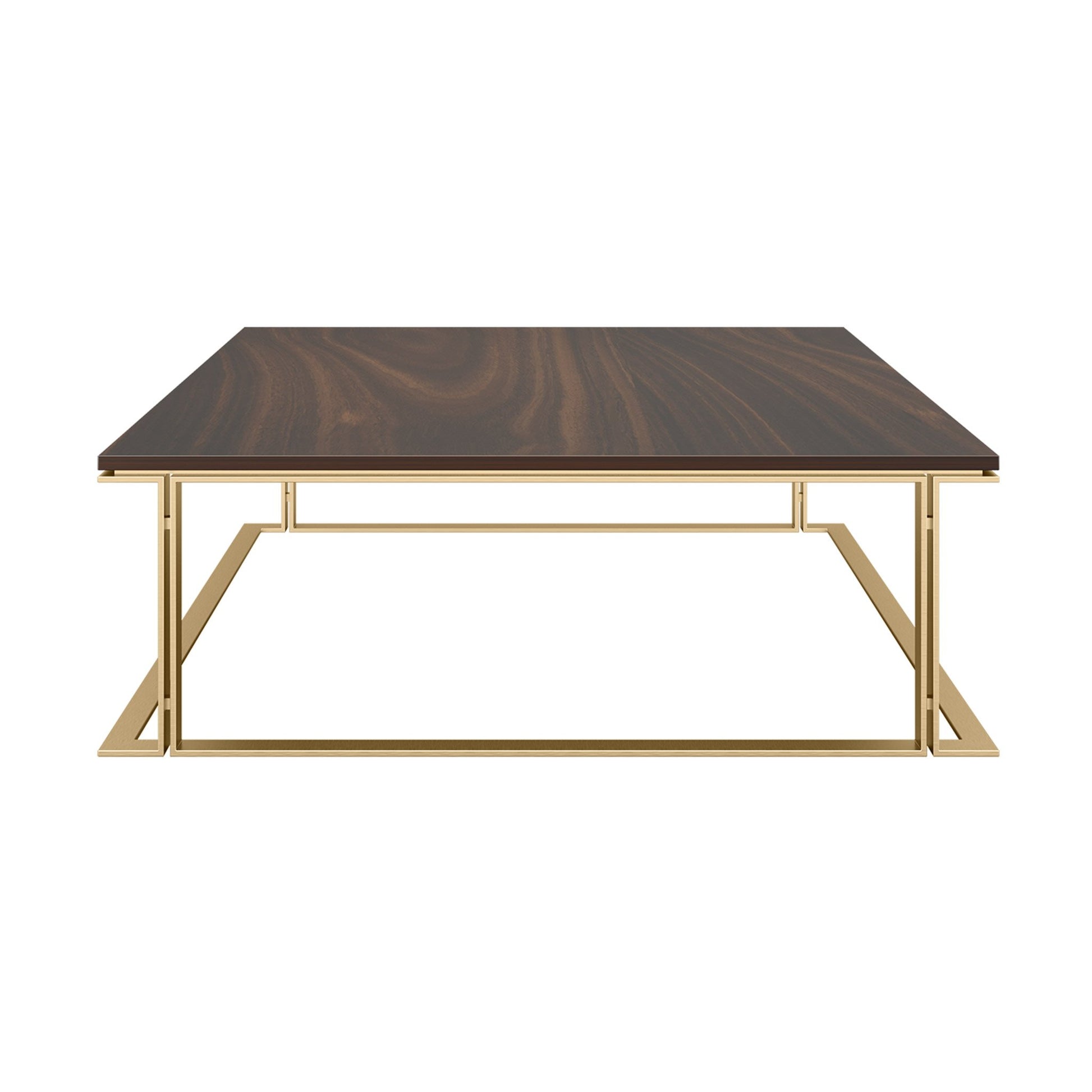 Designer large, low profile coffee table with a wood veneer top and brushed brass structure