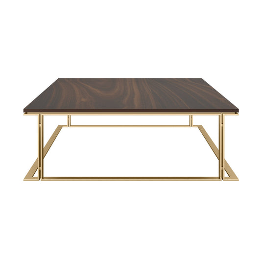 Designer large, low profile coffee table with a wood veneer top and brushed brass structure