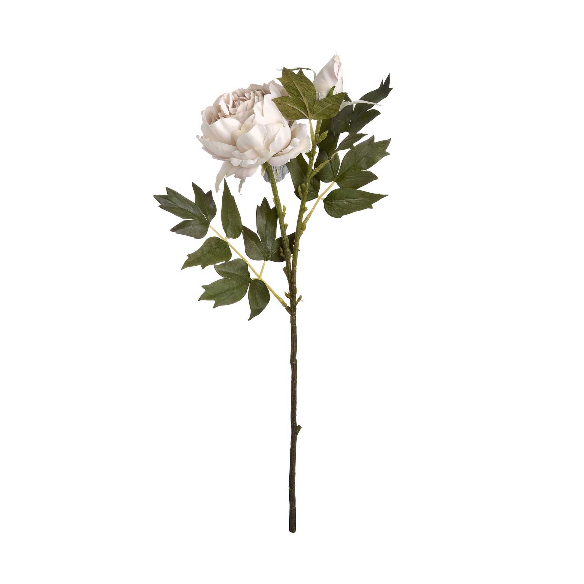 Single faux stem of grey peony rose.