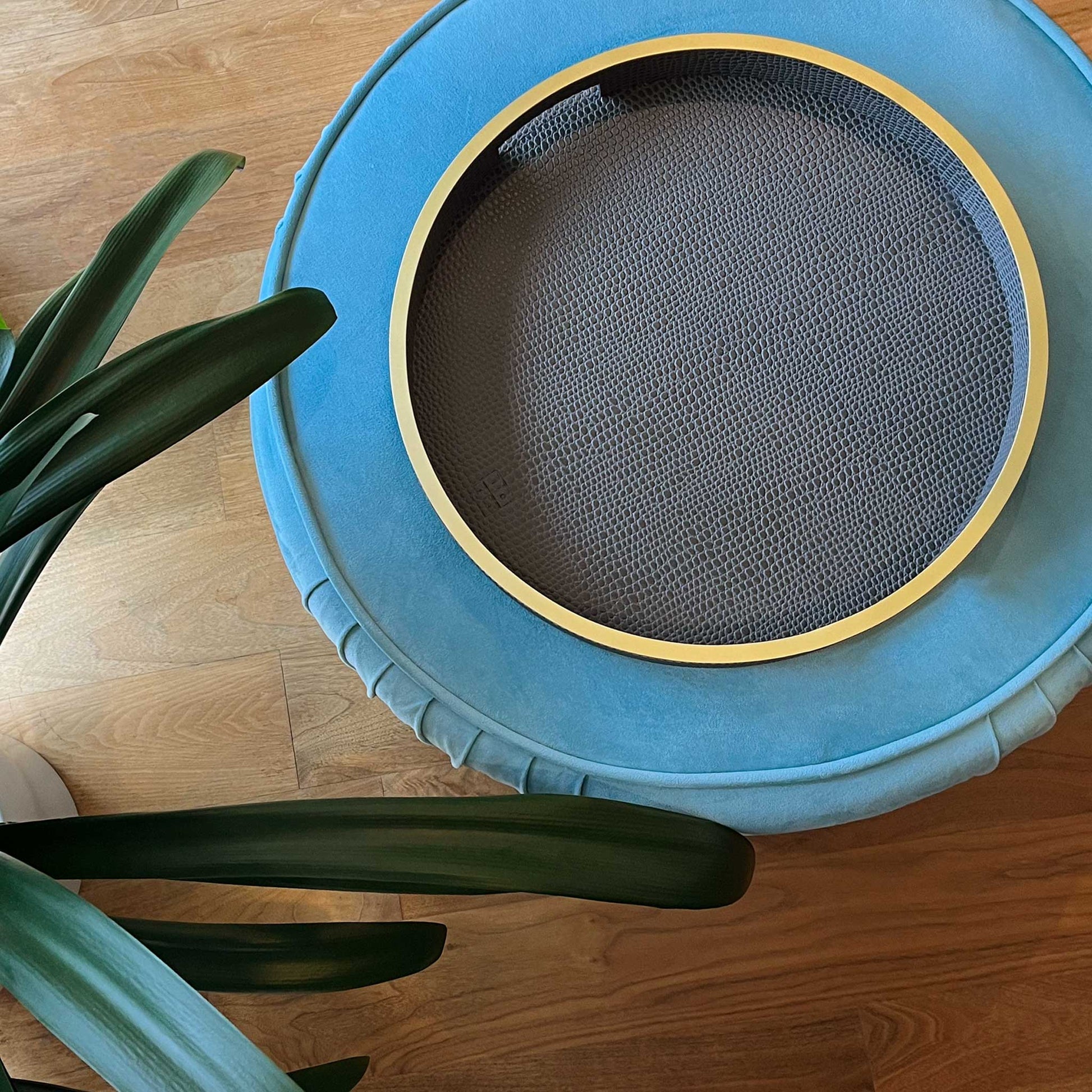 Lifestyle image view from above of round grey textured leather with gilt trim and handles on blue ottoman, wooden floor and green plant leaves